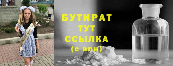 дурь Няндома
