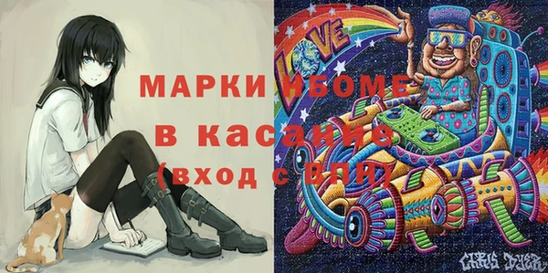 дурь Няндома