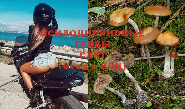a pvp Новокубанск